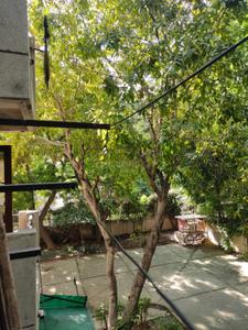 Balcony Image of 341 Sq.ft 1 RK Apartment / Flat for sale in Sector 16 Faridabad for Rs. 2500000