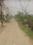 Buddhi Vihar Main Image 1
