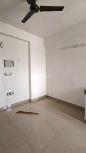 Hall Image of 550 Sq.ft 1 BHK Apartment / Flat for rent in ROF Amaltas, Sector 92 Gurgaon for Rs. 13500
