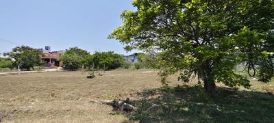 Image of 2465 Sq.ft Residential Plot / Land for sale in Adhanur, Chennai for Rs. 6162500