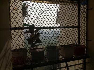 Balcony Image of 1356 Sq.ft 3 BHK Apartment / Flat for sale in Sahibabad Ghaziabad for Rs. 11000000