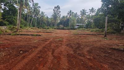 Image of 23084 Sq.ft Residential Plot / Land for sale in Veiloor, Thiruvananthapuram for Rs. 16000000