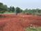 Alagar Kovil Main Image 1