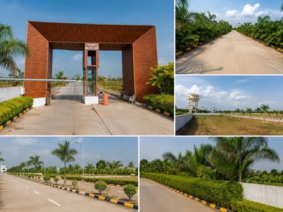 Residential Plot