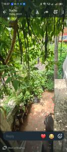 Image of 1650 Sq.ft 2 BHK Independent House for rent in Kolathur, Chennai for Rs. 36000