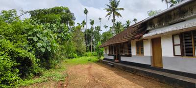 Image of 1942 Sq.ft Residential Plot / Land for sale in Irinjalakuda, Thrissur for Rs. 7680000