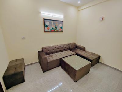 Hall Image of 900 Sq.ft 2 BHK Builder Floor for rent in Sector 41 Gurgaon for Rs. 40000