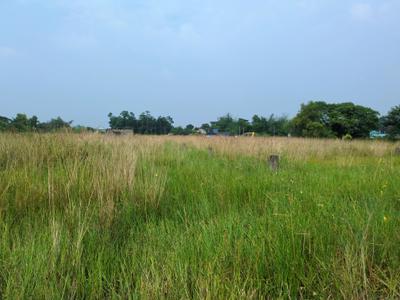 Image of 1440 Sq.ft Residential Plot / Land for sale in Raspunja Township, Joka, Kolkata for Rs. 580000