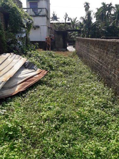 Boral Mouza Main Image 1