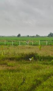 Image of 14400 Sq.ft Residential Plot / Land for sale in Prantik, Bolpur-Santiniketan for Rs. 2000000