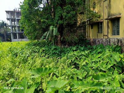 Image of 1440 Sq.ft Residential Plot / Land for sale in Kaikhali, Kolkata for Rs. 6500000