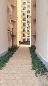 Image of 1100 Sq.ft 2 BHK Apartment / Flat for sale in Signature Global The Millennia 3, Sector 37D, Gurgaon for Rs. 7300000