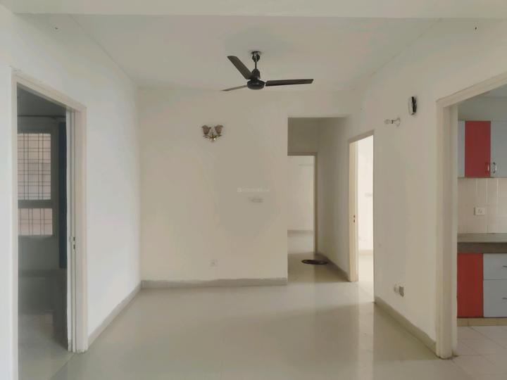 Tulip White Main Image 1