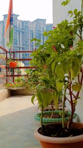 Balcony Image of 450 Sq.ft 1 BHK Apartment / Flat for rent in NDA Shiv Shakti, Sector 71 Noida for Rs. 16999