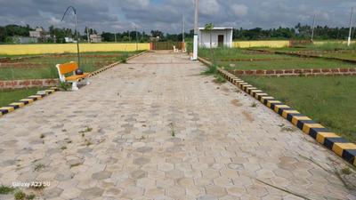 Image of 1250 Sq.ft Residential Plot / Land for sale in Dhauli, Bhubaneswar for Rs. 6200000