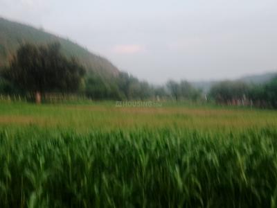 Kotputli Plot View 2