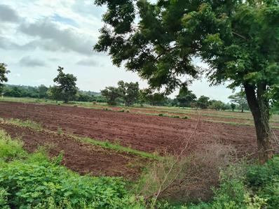 Image of 21780 Sq.ft 1 RK Farm House for sale in Pargi, Vikarabad for Rs. 5000000