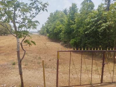 Image of 10000 Sq.ft Residential Plot / Land for sale in Srirangam, Tiruchirappalli for Rs. 16000000