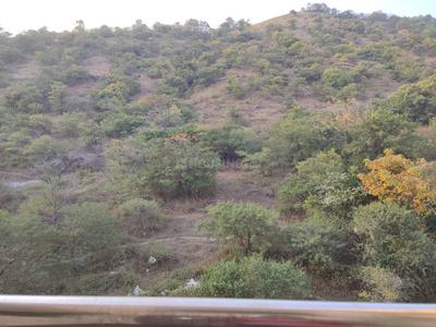 Balcony Image of 650 Sq.ft 1 BHK Apartment / Flat for rent in Menlo Homes, Hinjawadi Phase 2 Pune for Rs. 22000