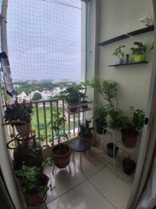 Balcony Image of 1050 Sq.ft 2 BHK Apartment / Flat for sale in Bill Vadodara for Rs. 2900000