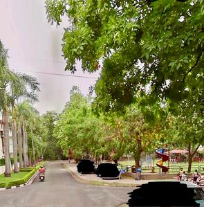 Image of 4800 Sq.ft 6 BHK Independent House for sale in Sector 36, Chandigarh for Rs. 245000000