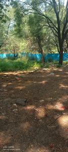 Image of 4500 Sq.ft Residential Plot / Land for sale in Nandan Freedom Park, Pimple Nilakh, Pune for Rs. 65000000