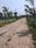 Bhasa Eco Village Internal Roads 1