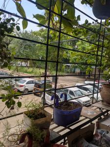 Balcony Image of 600 Sq.ft 1 BHK Apartment / Flat for rent in Popular Nagar, Warje Pune for Rs. 22000