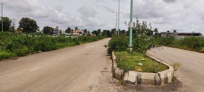 Residential Plot