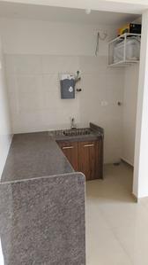 Kitchen Image of 550 Sq.ft 1 BHK Apartment / Flat for sale in Duville Riverdale Suites, Kharadi Pune for Rs. 6800000