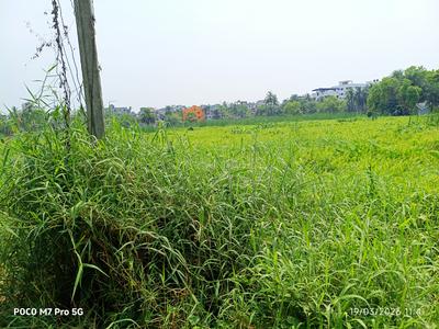 Image of 1440 Sq.ft Residential Plot / Land for sale in Kaikhali, Kolkata for Rs. 6500000