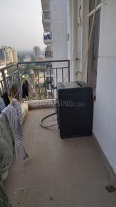 Image of 450 Sq.ft 1 BHK Apartment / Flat for rent in ROF Amaltas, Sector 92, Gurgaon for Rs. 20500