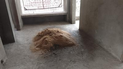 Living Room Image of 715 Sq.ft 2 BHK Apartment / Flat for sale in Behala Kolkata for Rs. 3932500