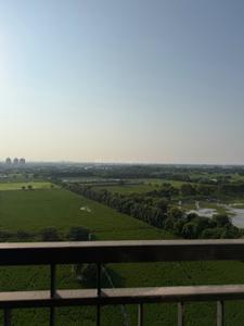 Balcony Image of 2403 Sq.ft 4 BHK Apartment / Flat for rent in Sobha City, Sector 108 Gurgaon for Rs. 110000