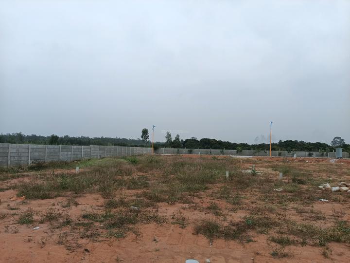 Sreevari Forest Glade Main Image 1