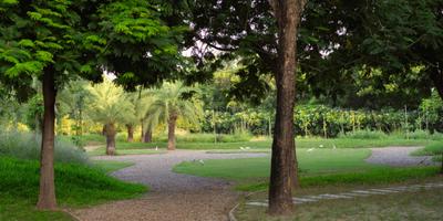 Image of 500 Sq.ft Residential Plot / Land for sale in Bsafal Rethal Greens, Rethal, Ahmedabad for Rs. 2500000