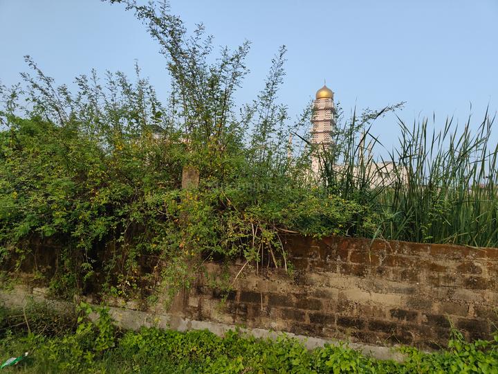 Modipada Main Image 1