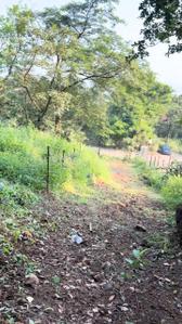 Image of 24000 Sq.ft Residential Plot / Land for sale in Sujata Girivan, Mulshi, Pune for Rs. 10000000