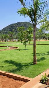 Image of 167 Sq.ft Residential Plot / Land for sale in Kothavalasa, Visakhapatnam for Rs. 1950000