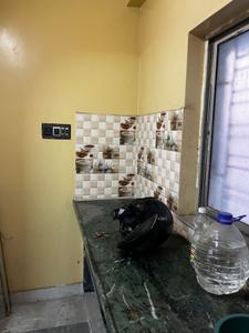 Kitchen Image of 700 Sq.ft 2 BHK Apartment / Flat for sale in Belghoria Kolkata for Rs. 2000000