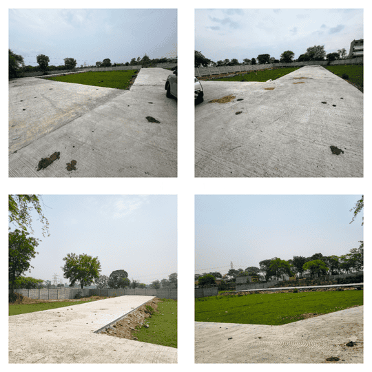 Pandhi Green  Main Image 1