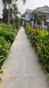 Image of 1500 Sq.ft 3 BHK Farm House for sale in Dkrrish Green Beauty Farms, Sector 135, Noida for Rs. 9000000
