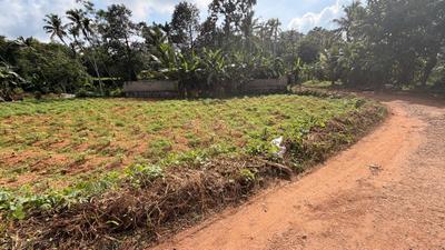 Image of 11000 Sq.ft Residential Plot / Land for sale in Kottarakkara, Kollam for Rs. 6500000