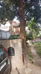 Residential plot Plot View 2