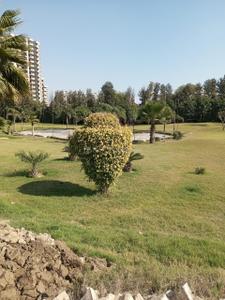 Image of 745 Sq.ft 3 BHK Apartment / Flat for sale in Diplomats Golf Link, Sector 110, Gurgaon for Rs. 7900000