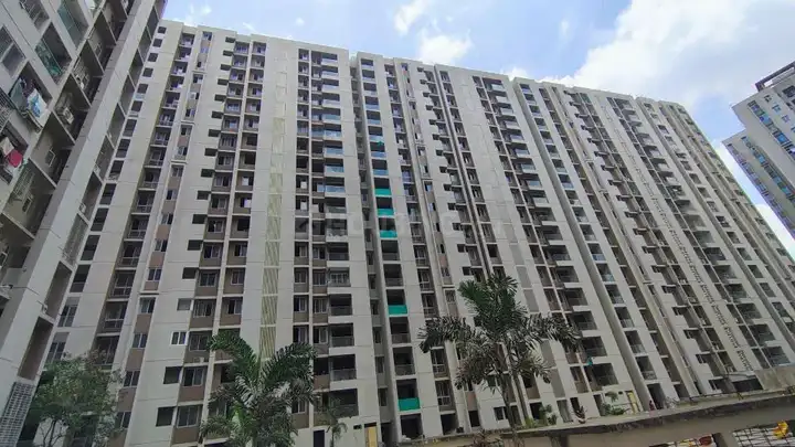 Rainbow Chetna Main Image 1