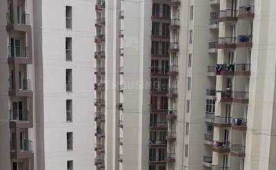 Image of 807 Sq.ft 2 BHK Apartment / Flat for rent in Amrapali Dream Valley 2, Noida Extension, Greater Noida for Rs. 16500