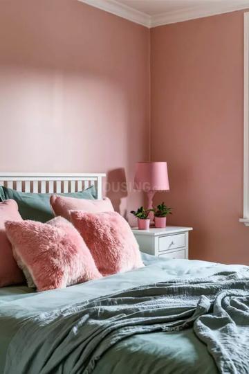 Back bagan Main Image 1