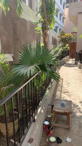 Balcony Image of 1500 Sq.ft 3.5 BHK Builder Floor for rent in Anisabad Patna for Rs. 12000