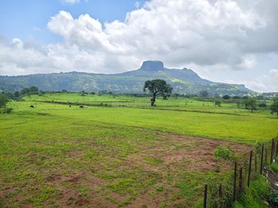 Image of 21000 Sq.ft Residential Plot / Land for sale in Trimbak, Nashik for Rs. 11000000